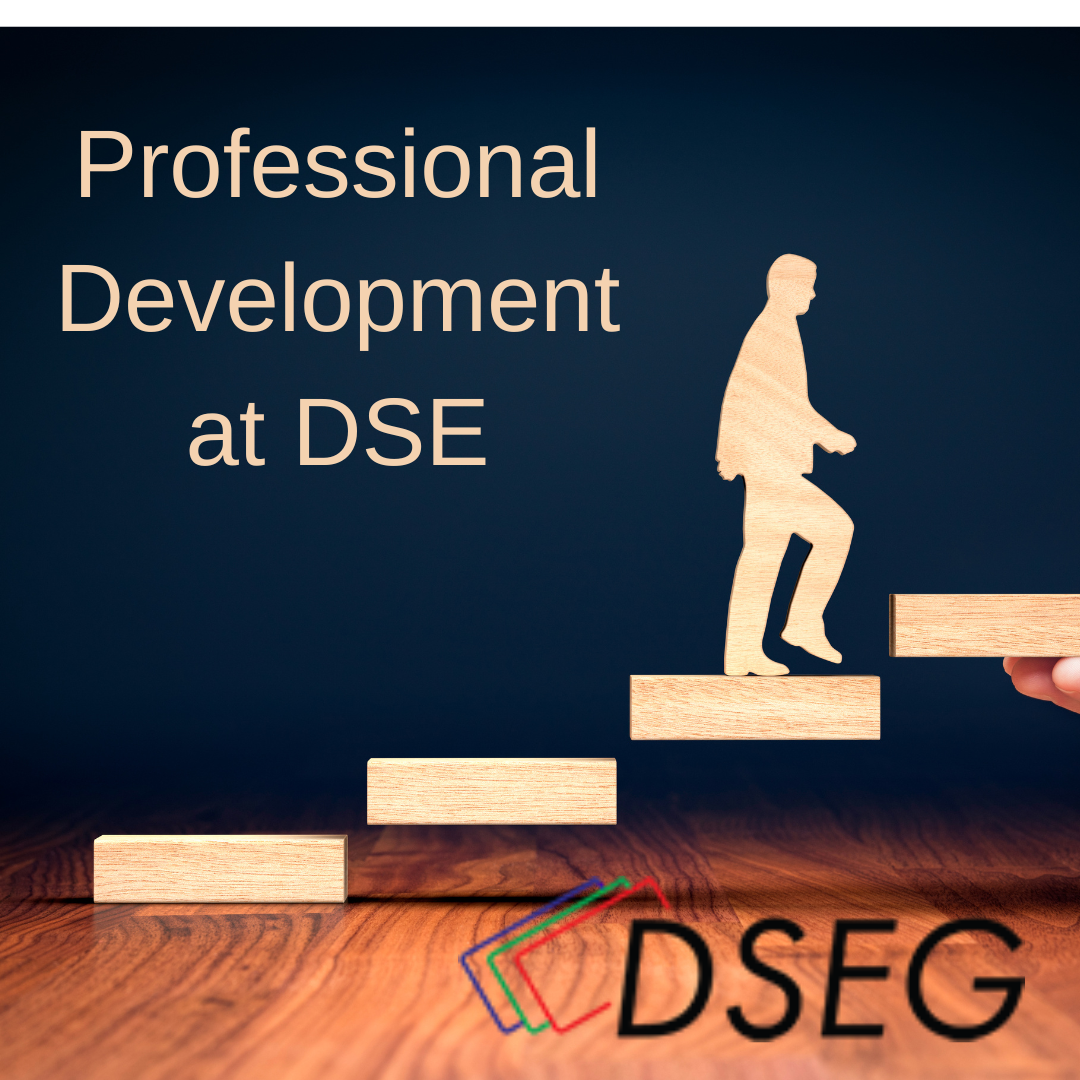 Professional Development at the DSE